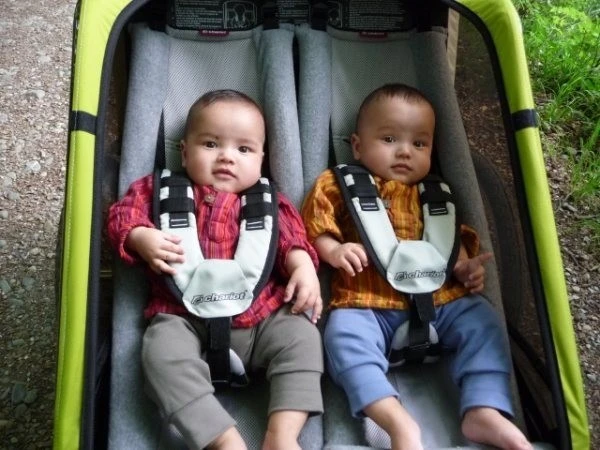 Thule Babysitz Für Chariot Kinderanhänger Ab 2002-2016 – Bild 7