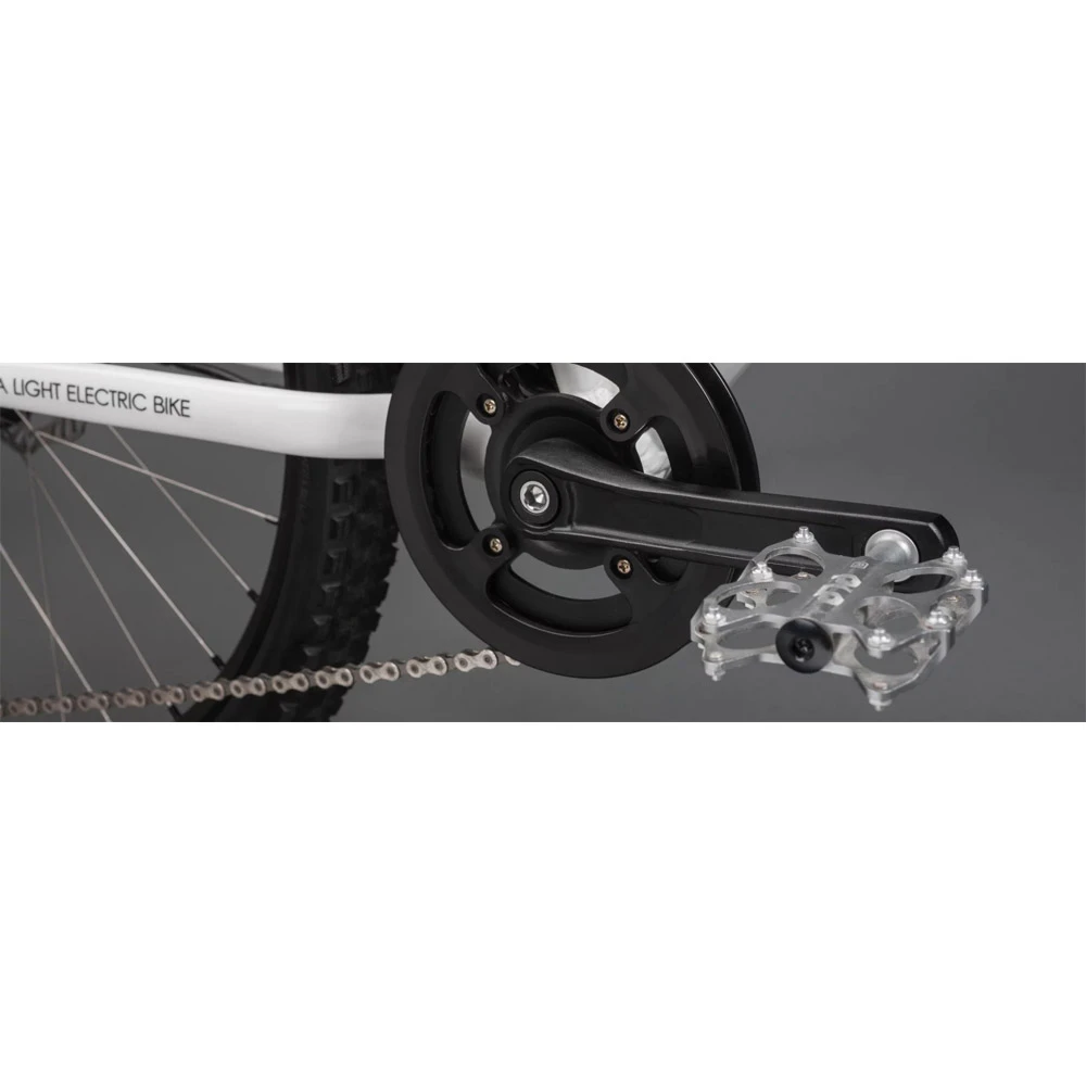 Ben-e-bike, Twenty E-Power 2023 / 20-Zoll Kinder E-Bike – Bild 9