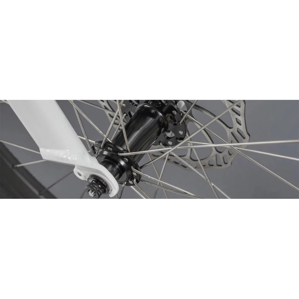 Ben-e-bike, TWENTY E-Power PRO, 20" Kinder E-Bike 2020 – Bild 9