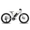Ben-e-bike, Twenty E-Power 2023 / 20-Zoll Kinder E-Bike