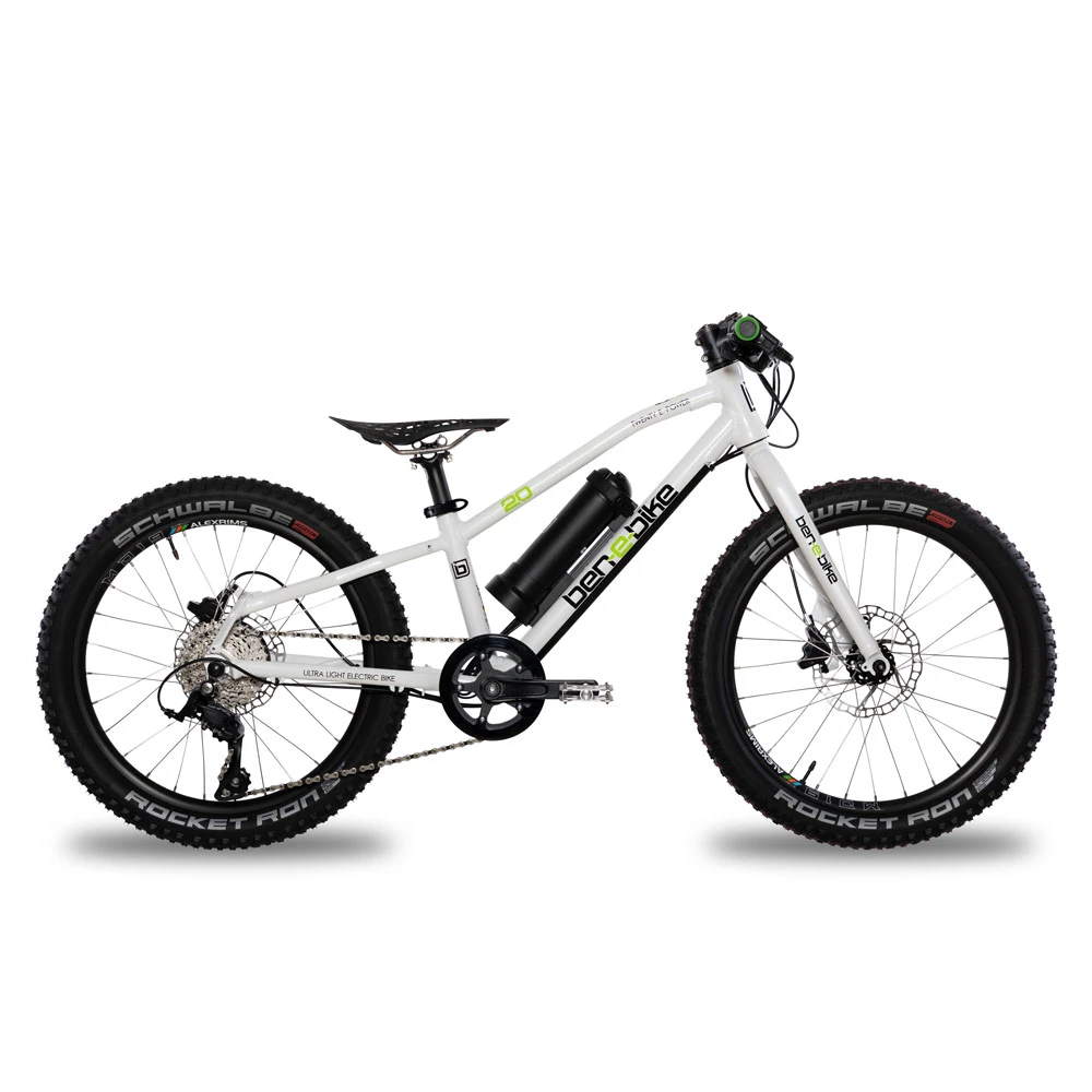 Ben-e-bike, Twenty E-Power 2023Â / 20-Zoll Kinder E-Bike