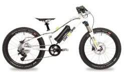 Ben-e-bike, TWENTY E-Power PRO, 20" Kinder E-Bike 2020