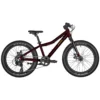 Bergamont Bergamonster 20 Plus Girl Kinderfahrrad