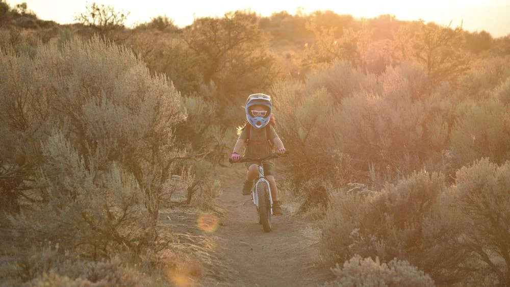 Early Rider, Seeker X16, Trail-Kinderrad 2023 – Bild 7